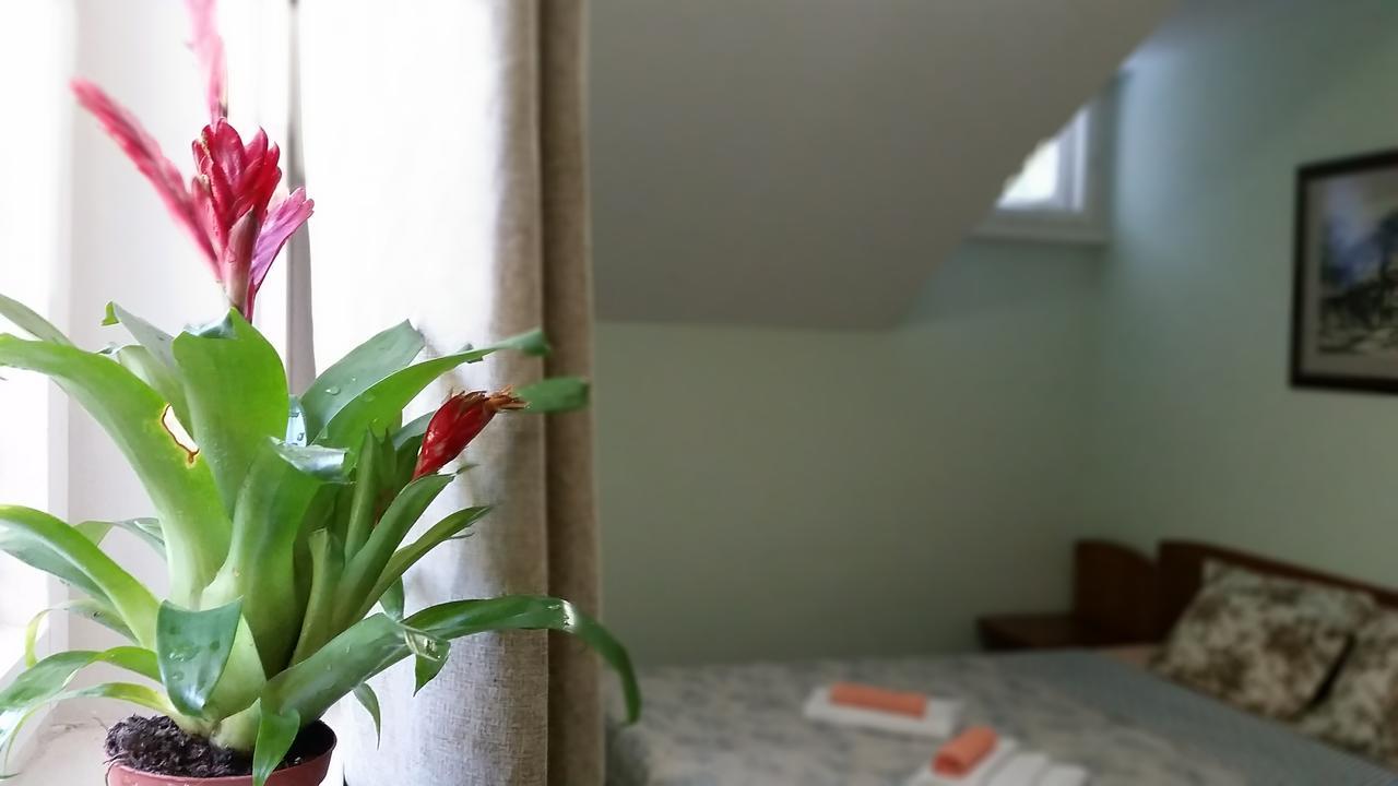 Boeritza Hotel Complex Vladaya Dış mekan fotoğraf